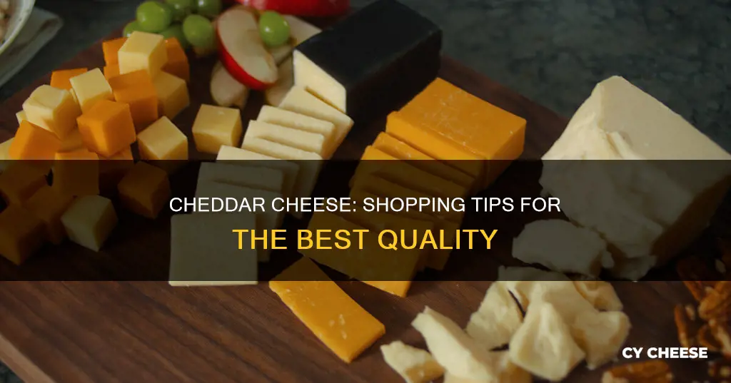 what to look for when buying cheddar cheese