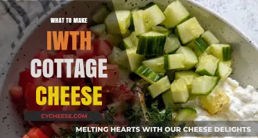 Delicious Cottage Cheese Recipes: Creative Ways to Enjoy This Versatile Ingredient