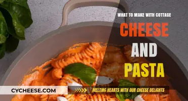 Delicious Cottage Cheese Pasta Recipes: Creative and Easy Meal Ideas