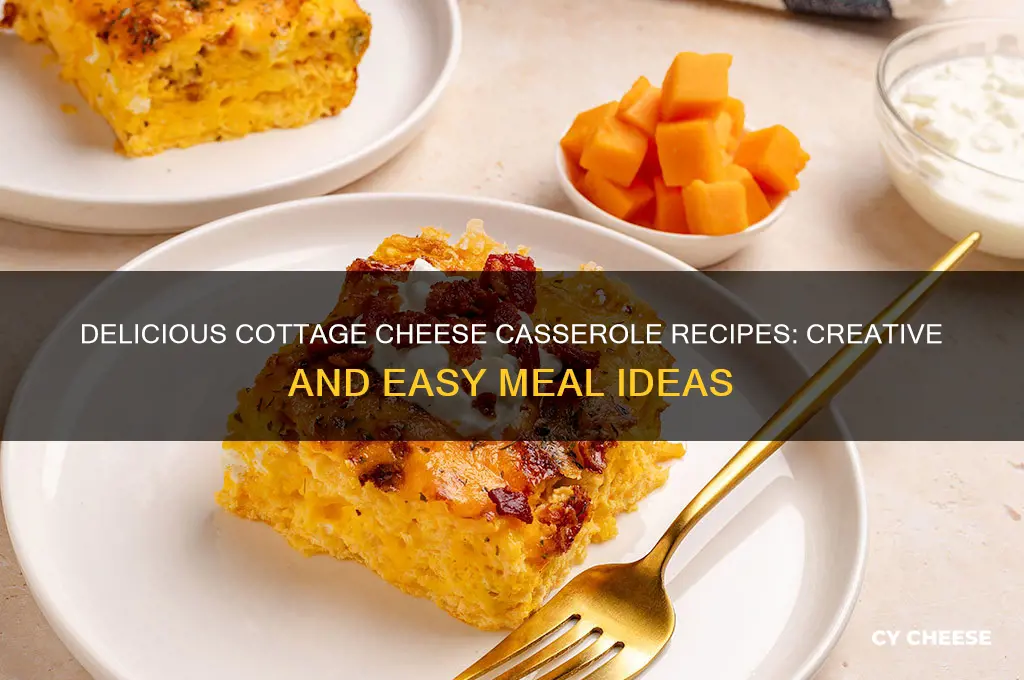 what to make with cottage cheese casserole