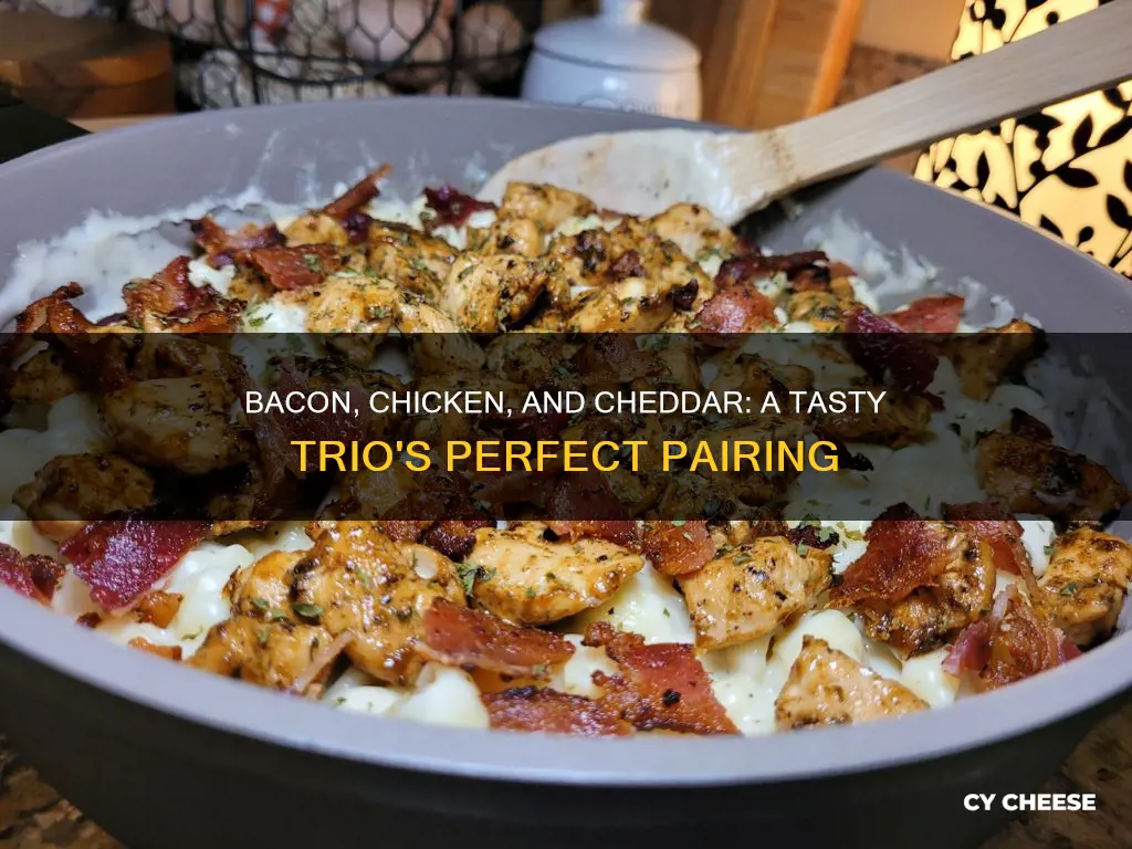 what to makecwith bacon chicken and cheddar cheese