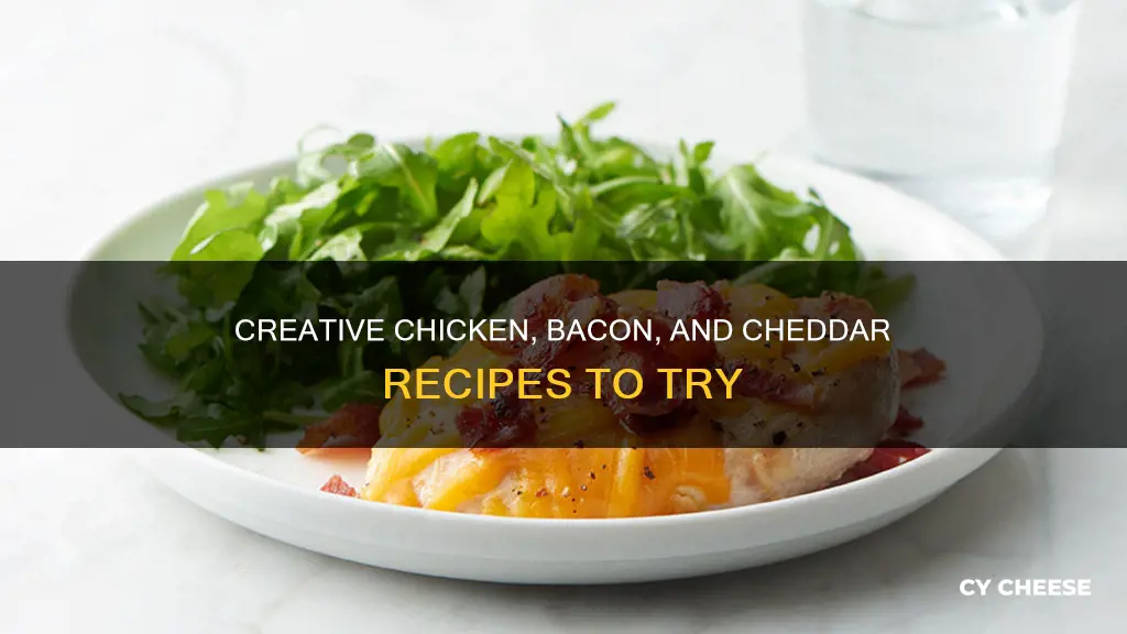 what to makecwith bacon chicken and cheddar cheese