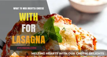 Perfect Lasagna Ricotta Pairings: Delicious Mix-Ins for Creamy Layers