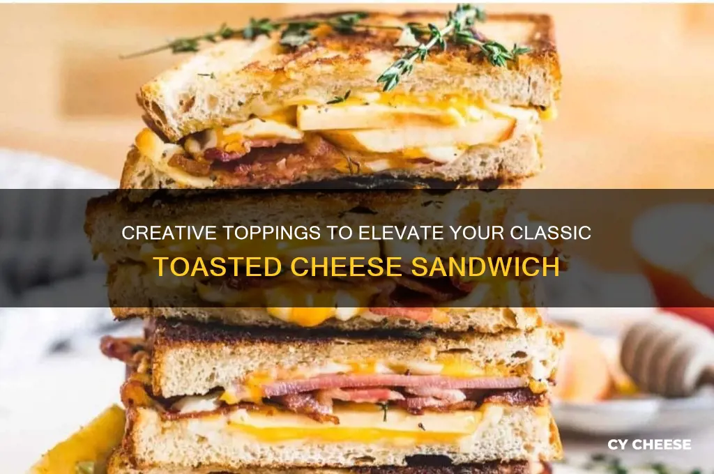 what to puit on a toasted cheese sandwich