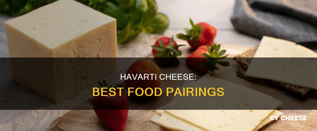 what to put havarti cheese on