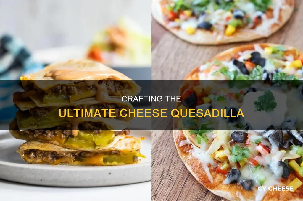 what to put in a cheese quesadilla