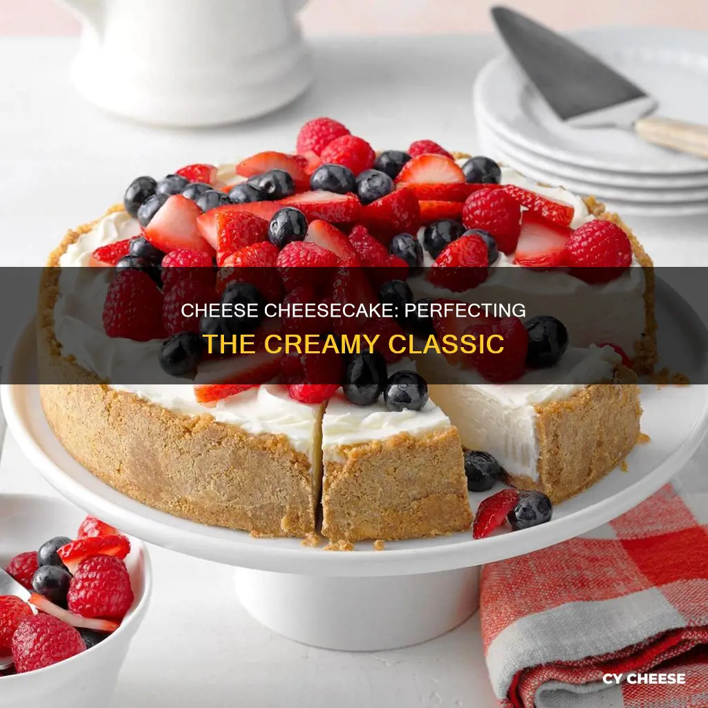 what to put in cheese cheesecake