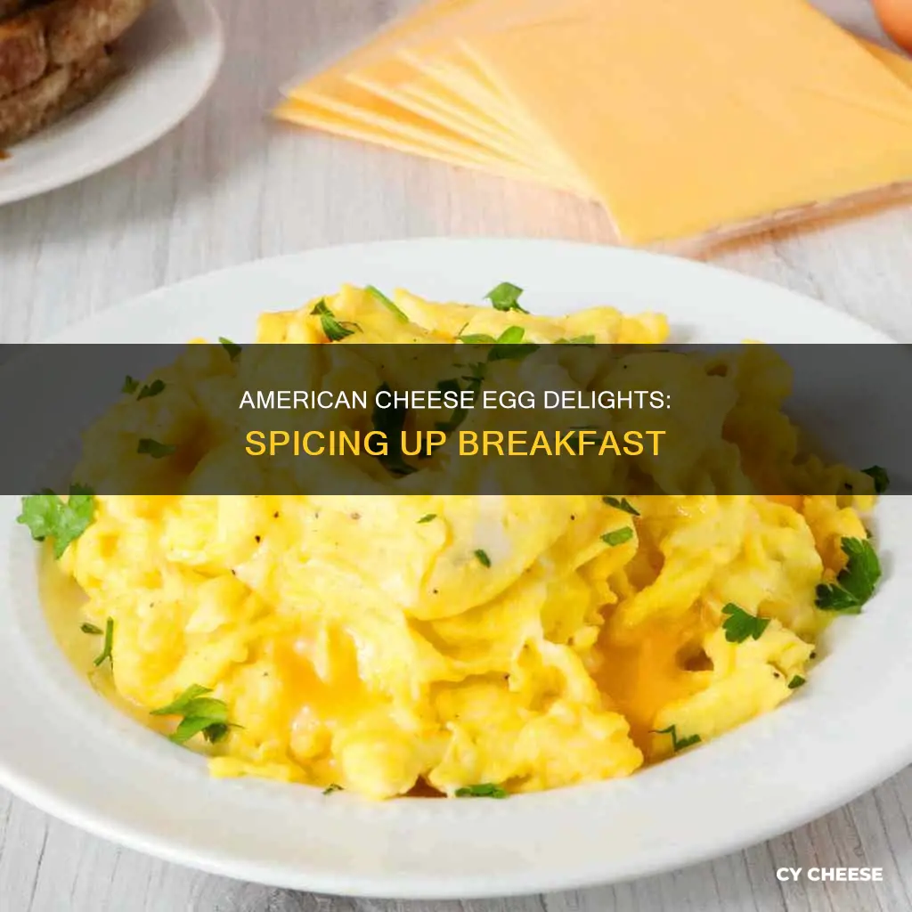 what to put in eggs if you like american cheese