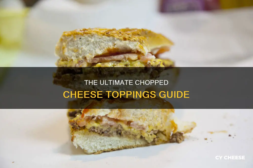 what to put on chopped cheese
