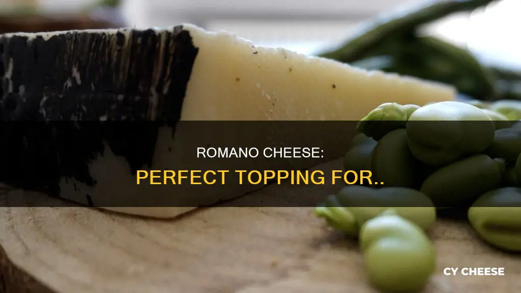 what to put romano cheese on