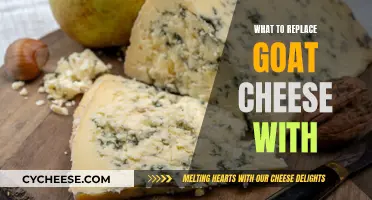 Goat Cheese Alternatives: Delicious Substitutions for Your Favorite Ingredient