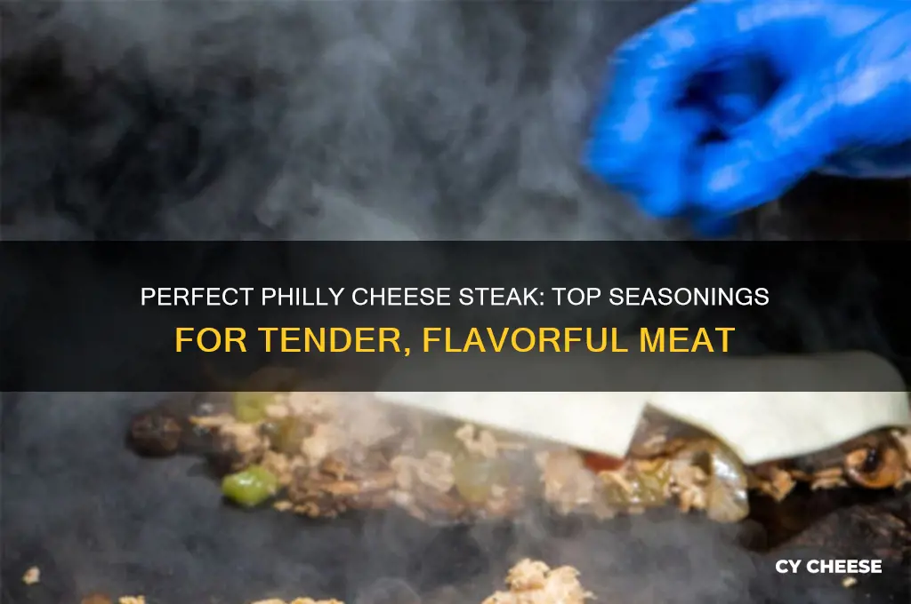 what to season philly cheese steak meat with