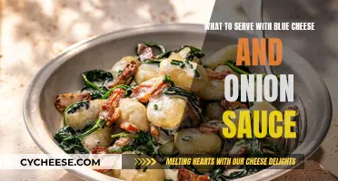 Blue Cheese and Onion Sauce: Perfect Pairing Ideas