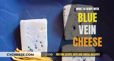 Blue Vein Cheese: Perfect Pairing Ideas for Your Platter