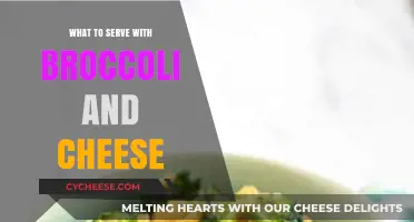 Cheese and Broccoli: Perfect Pairing Ideas
