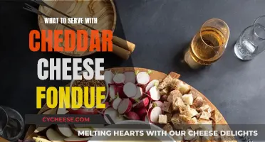 Cheese Fondue Companion: Tasty Appetizers and Dips