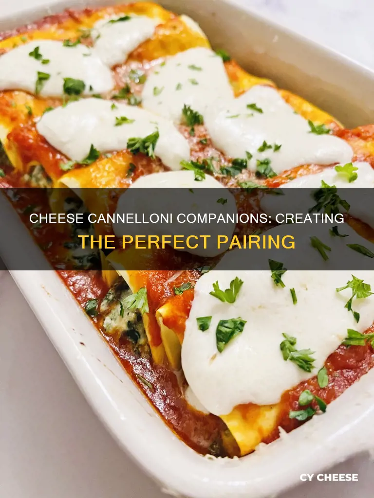 what to serve with cheese cannelloni