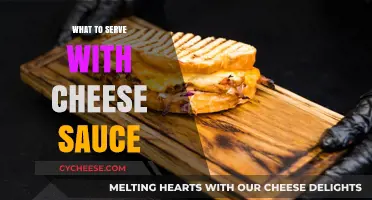 Cheese Sauce Companions: Perfect Pairing Ideas