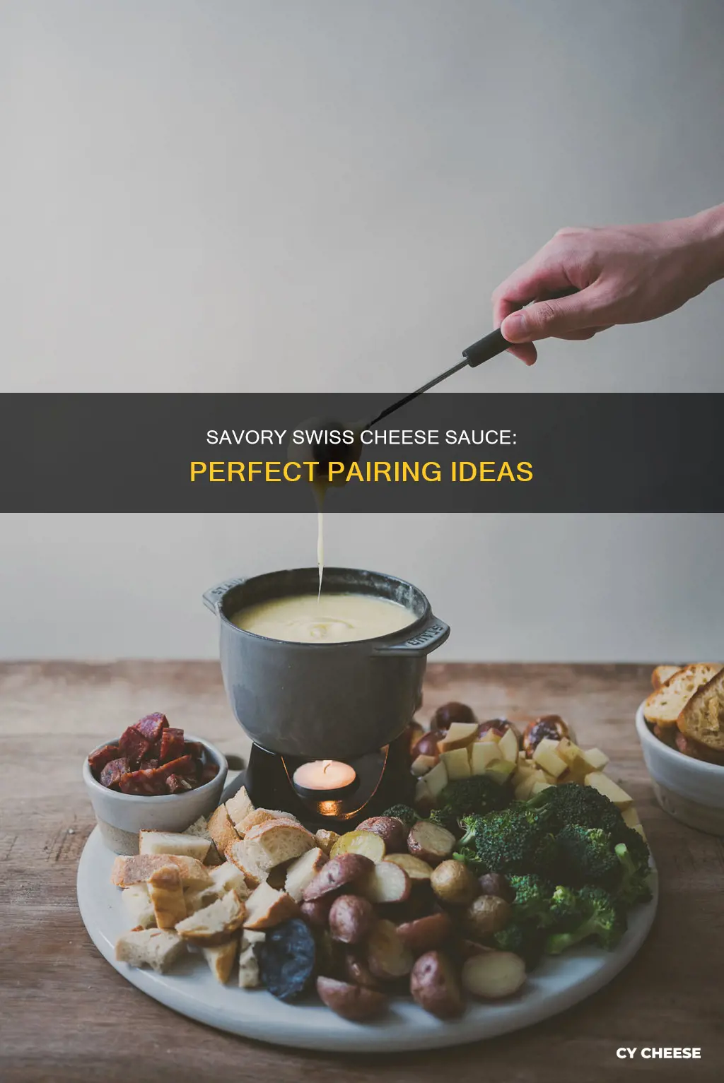 what to serve with swiss cheese sauce