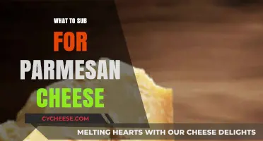 Parmesan Substitutes: Alternatives for Your Favorite Italian Cheese