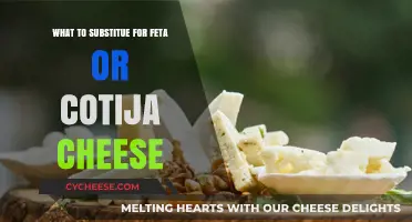 Cheese Alternatives: Feta and Cotija Substitutions