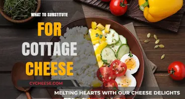 Cottage Cheese Alternatives: Healthy Substitutes for Recipes and Snacks