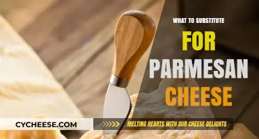 Smart Swaps: Alternatives to Parmesan Cheese