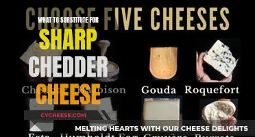 Cheese Alternatives: 5 Delicious Substitutes for Sharp Cheddar