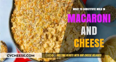 Mac and Cheese: Milk Alternatives for a Creamy Dish
