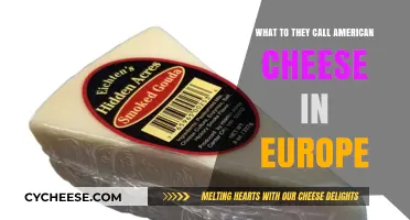 What Do Europeans Call American Cheese? A Tasty Translation