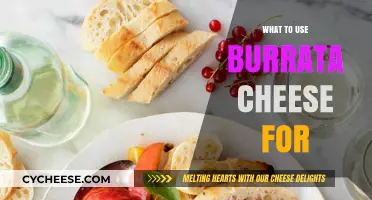 Explore the Best Uses for Burrata Cheese