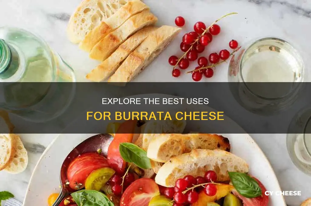 what to use burrata cheese for