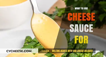 Cheese Sauce: A Versatile Topping for Your Meals