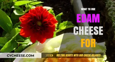 Edam Cheese: A Versatile Ingredient for Your Next Dish