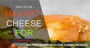 Havarti Cheese: Best Uses and Recipes
