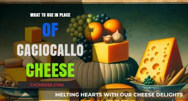 Cheese Substitutes: Alternatives for Caciocavallo in Your Kitchen