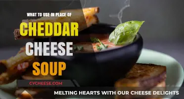 Smart Substitutes for Cheddar Cheese Soup in Recipes