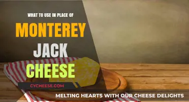 Substituting Monterey Jack: What Cheeses Work Best?