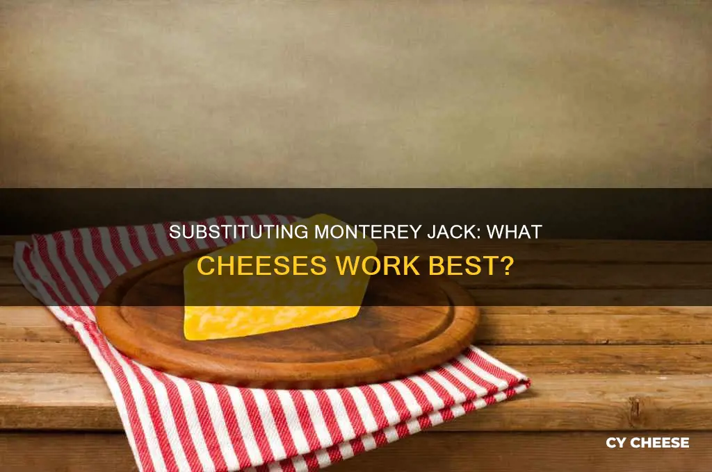 what to use in place of monterey jack cheese