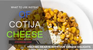 Creative Cotija Cheese Alternatives for Your Next Dish