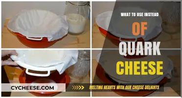 Quark Cheese Alternatives: Similar Cheeses for Your Recipes