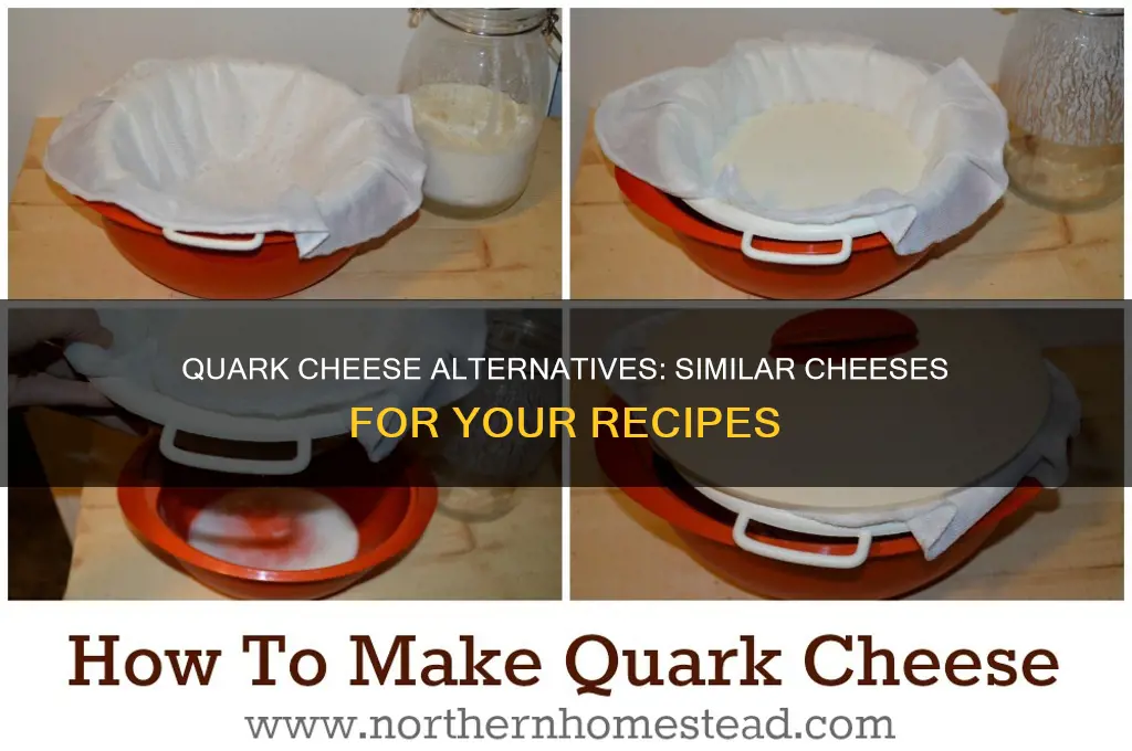 what to use instead of quark cheese