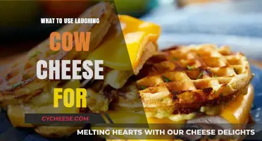 Delicious Ways to Use Laughing Cow Cheese