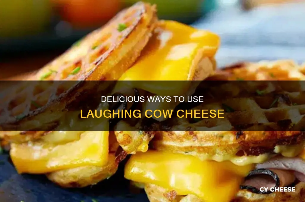 what to use laughing cow cheese for
