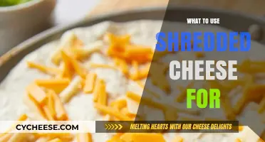 Creative Uses for Shredded Cheese in Your Kitchen