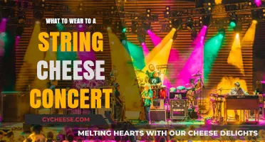 Perfect Outfits for a String Cheese Incident Concert: Style Guide