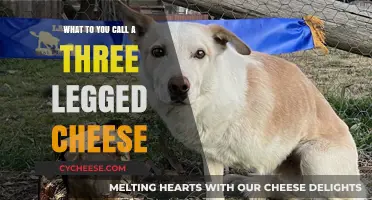 Three-Legged Cheese: Unraveling the Mystery of Its Quirky Name