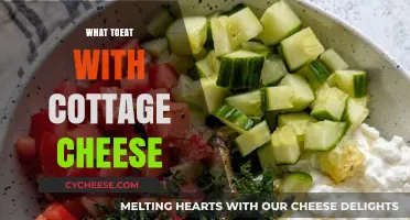 Delicious Pairings: Creative and Healthy Cottage Cheese Meal Ideas