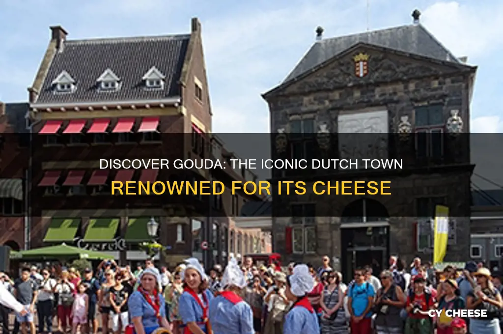 what town in the netherlands is famous for cheese
