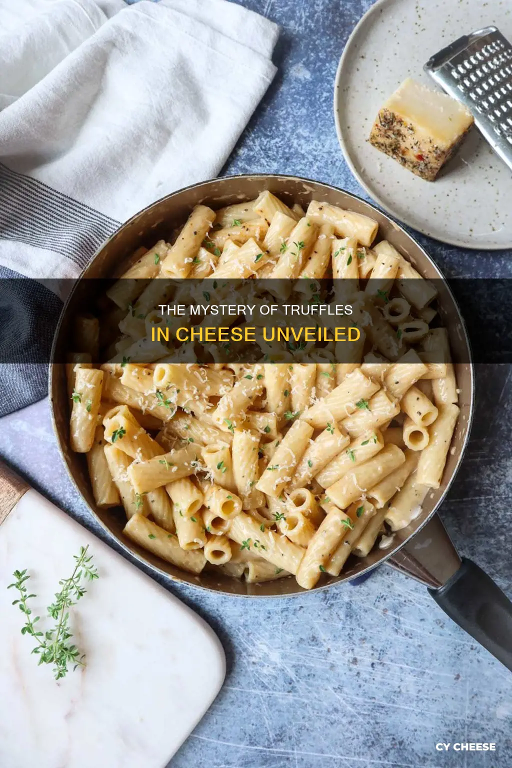 what truffle is put in truffle cheese